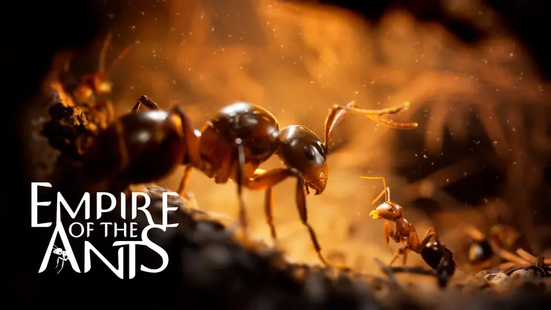 Empire of the Ants